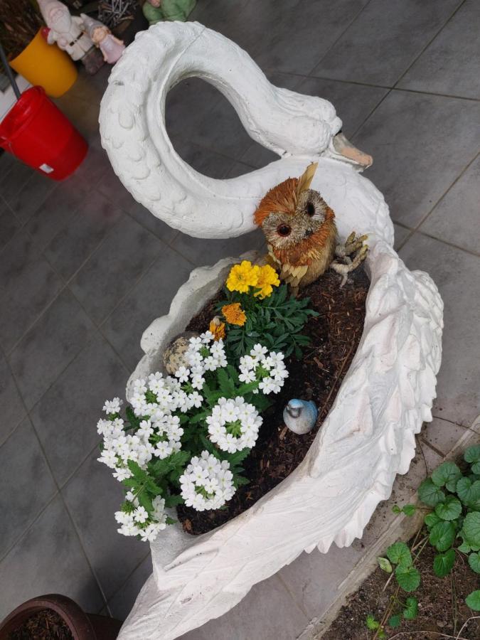 Queen House Apartman Zagreb Dış mekan fotoğraf